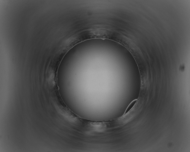 X0000096700187200802121211