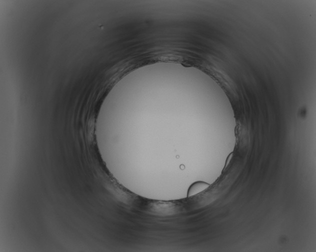 X0000096700189200802121211
