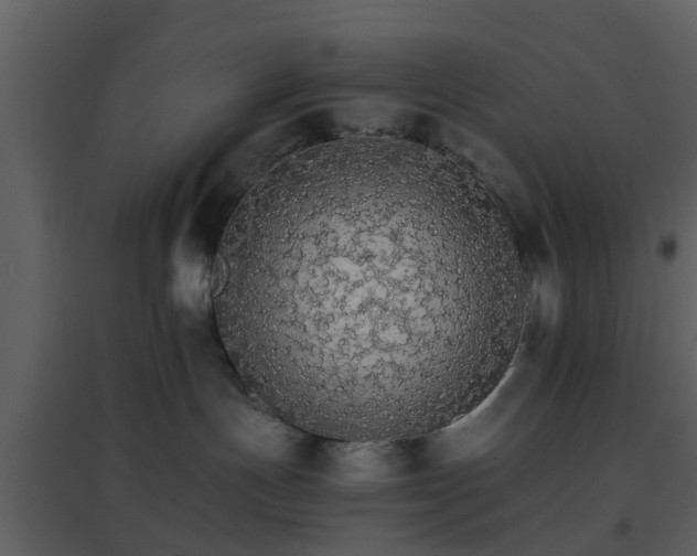 X0000096700191200802121211