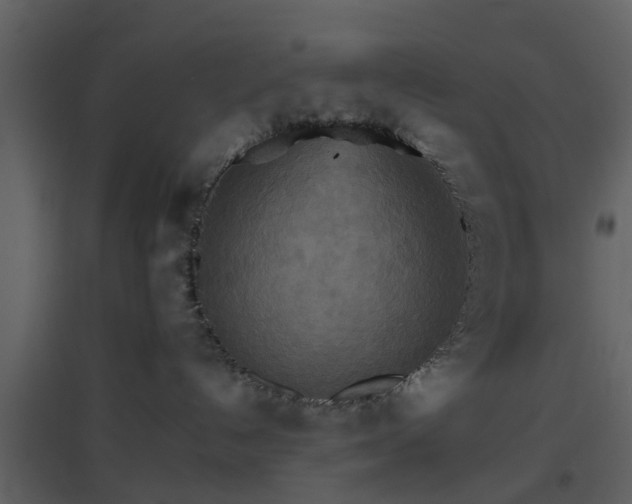 X0000096700192200802121211