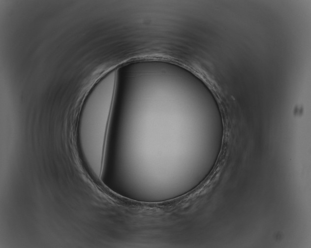 X0000096700193200802121210