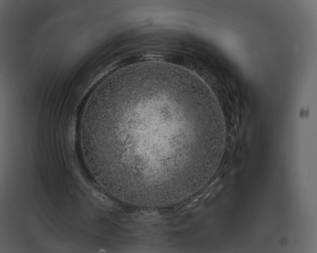 X0000096700194200802121210