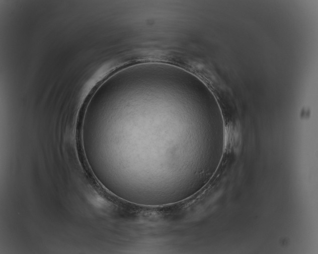 X0000096700195200802121210