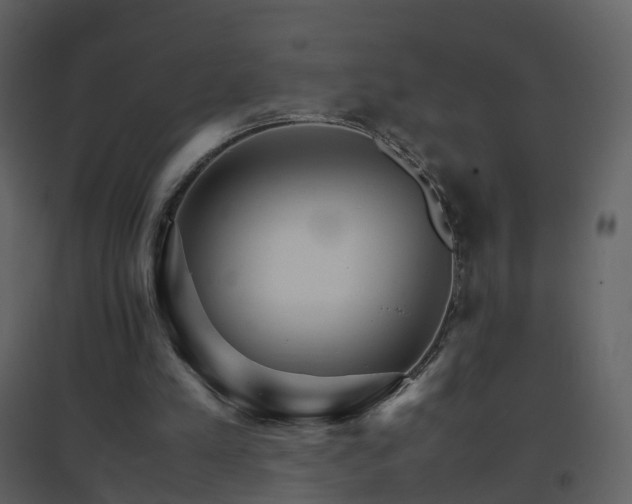 X0000096700197200802121210