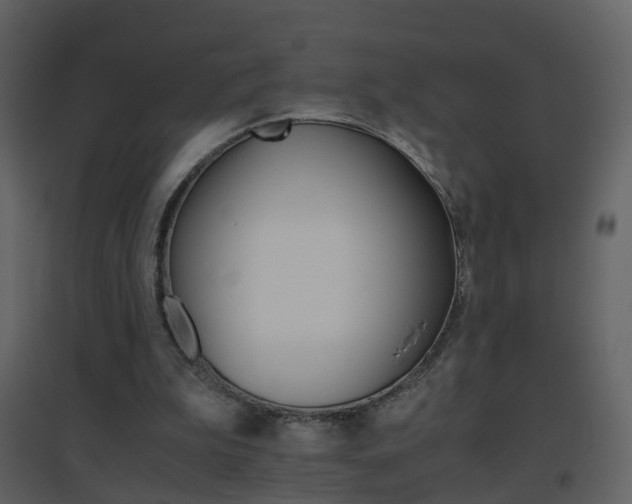 X0000096700199200802121210
