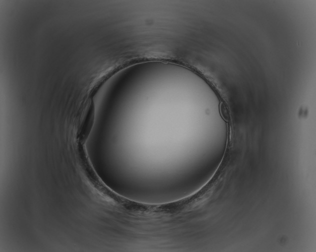 X0000096700201200802121210