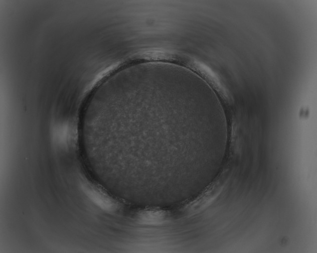 X0000096700202200802121210