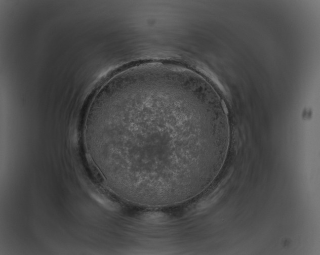 X0000096700203200802121210