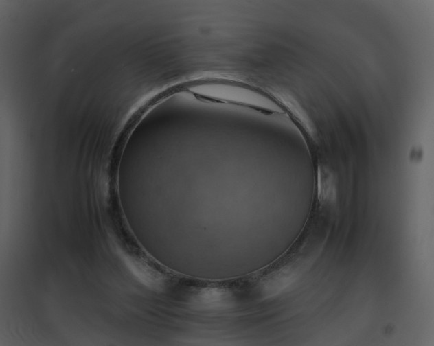 X0000096700204200802121210