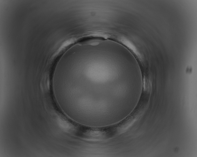 X0000096700205200802121210