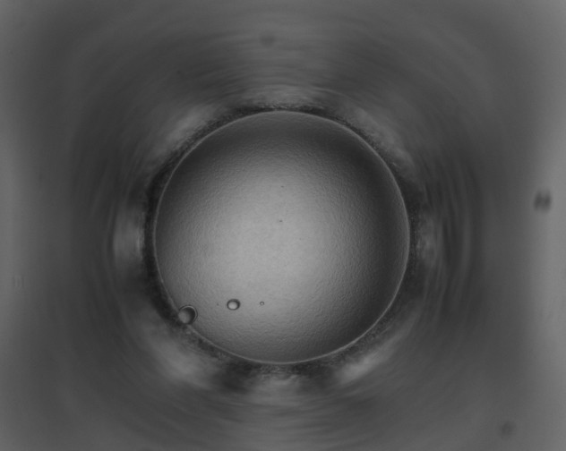 X0000096700206200802121210