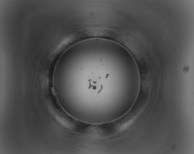 X0000096700207200802121210