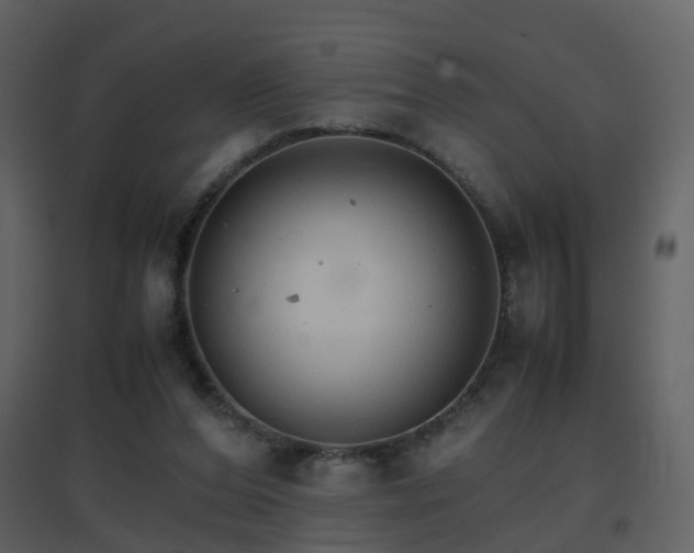X0000096700208200802121210