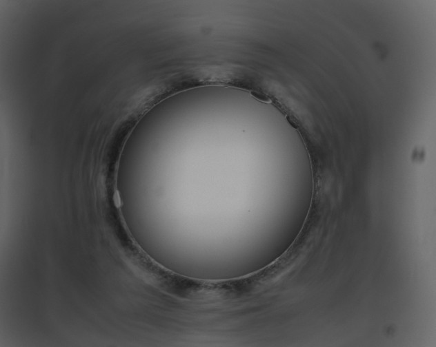 X0000096700209200802121210