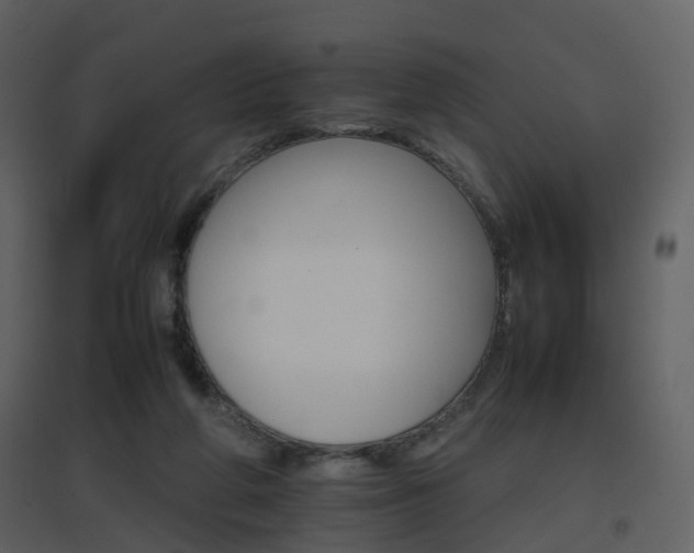 X0000096700210200802121210