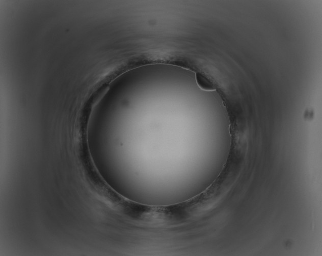 X0000096700211200802121210