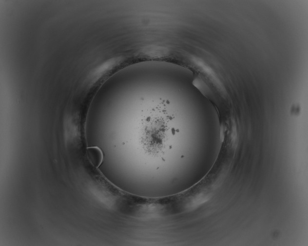 X0000096700212200802121210