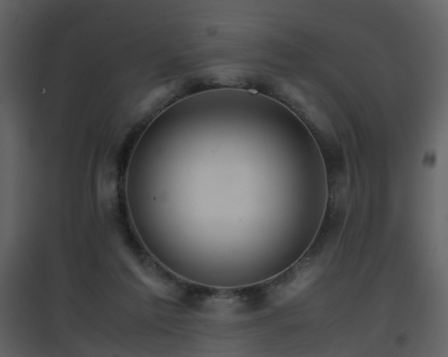 X0000096700213200802121210