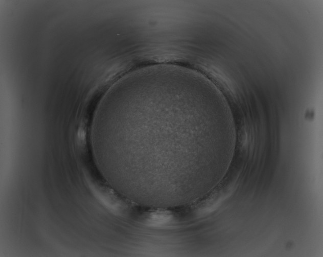 X0000096700214200802121210