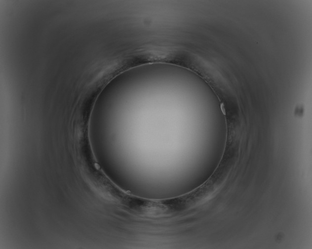 X0000096700215200802121210
