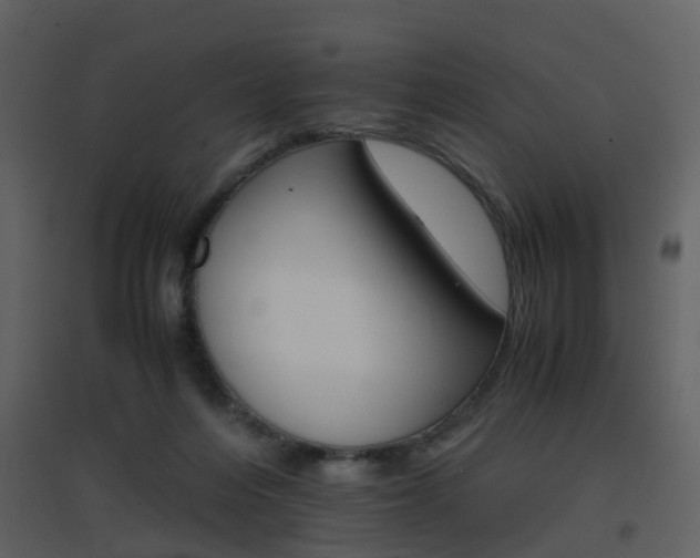 X0000096700216200802121210