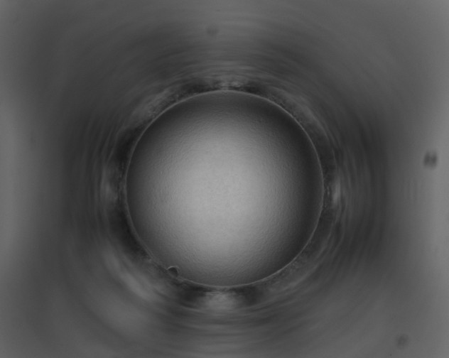 X0000096700218200802121210