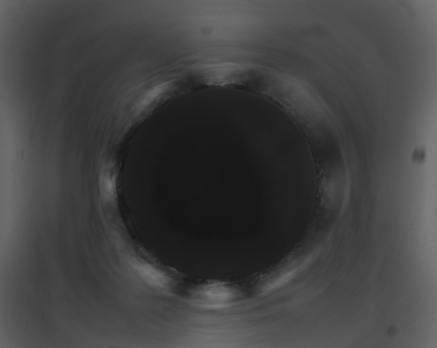 X0000096700219200802121210