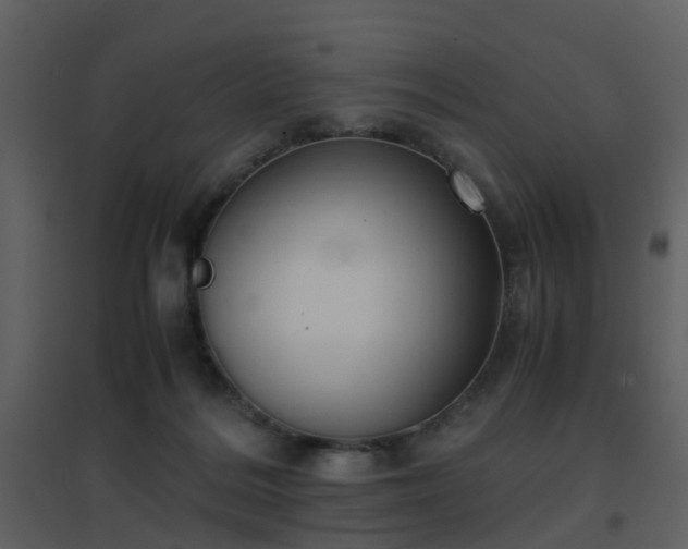 X0000096700220200802121210