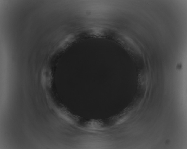 X0000096700223200802121210
