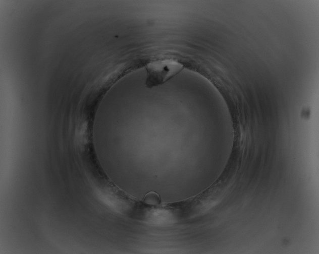 X0000096700224200802121210