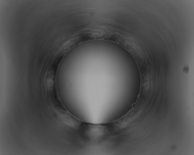 X0000096700226200802121210