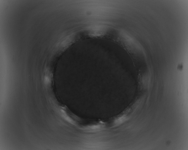 X0000096700227200802121210