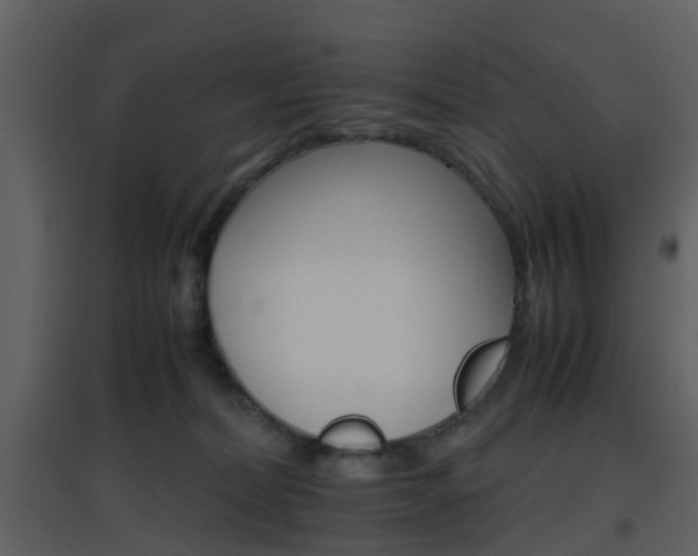 X0000096700228200802121210