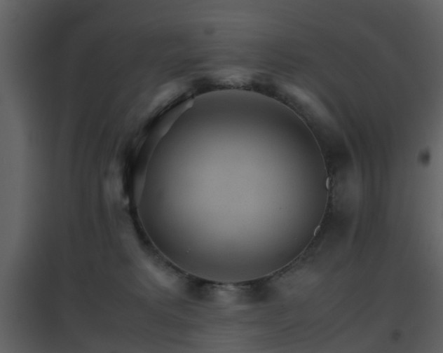 X0000096700229200802121210