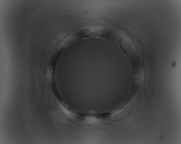 X0000096700231200802121209
