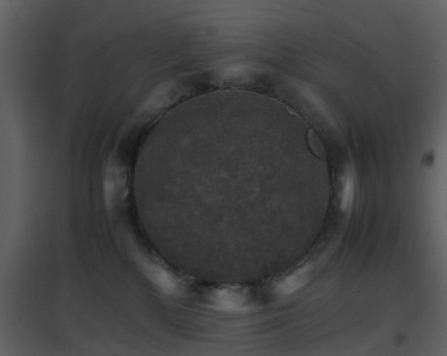 X0000096700232200802121209