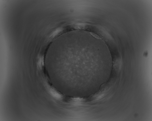 X0000096700233200802121209