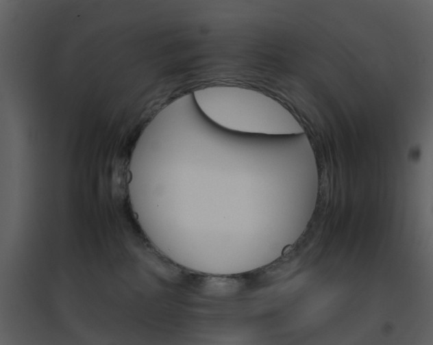 X0000096700234200802121209