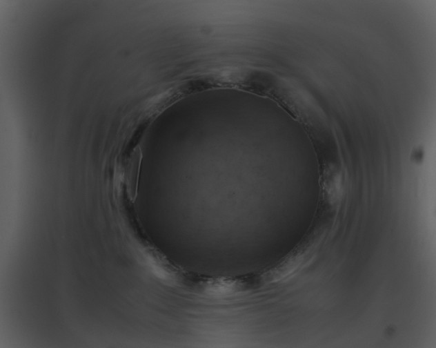 X0000096700235200802121209