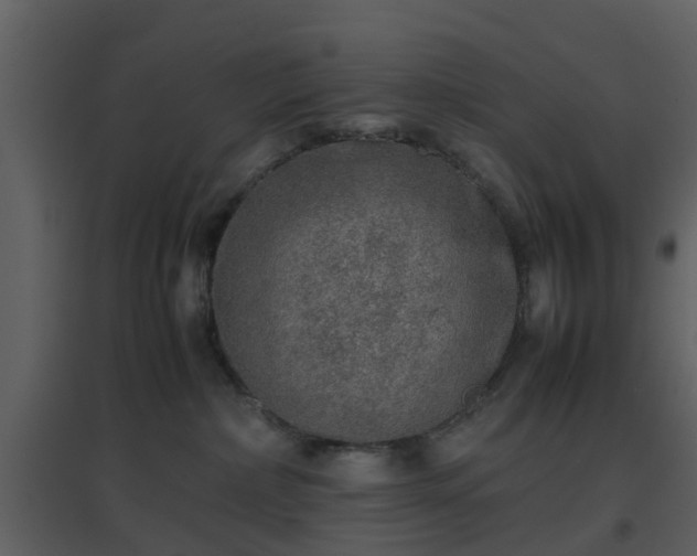 X0000096700236200802121209
