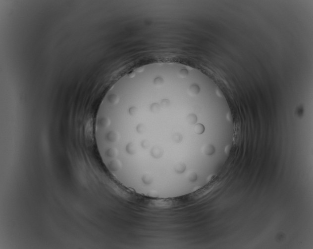 X0000096700238200802121209