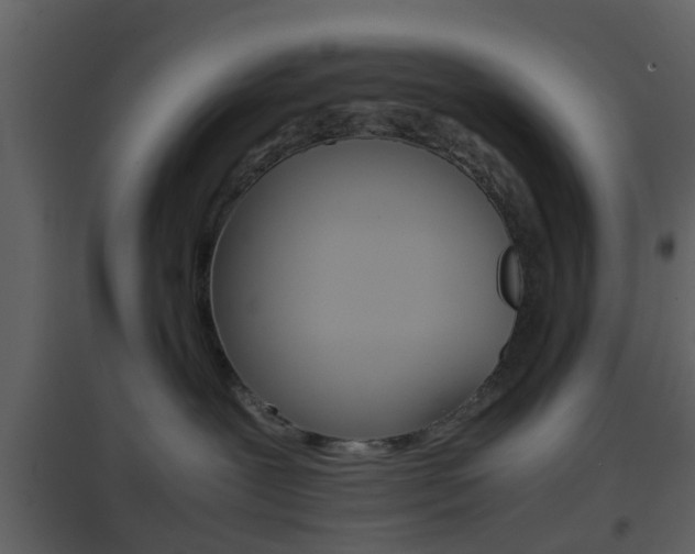 X0000096700239200802121209
