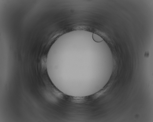X0000096700240200802121209