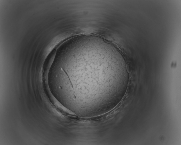 X0000096700242200802121209