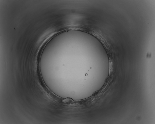 X0000096700243200802121209