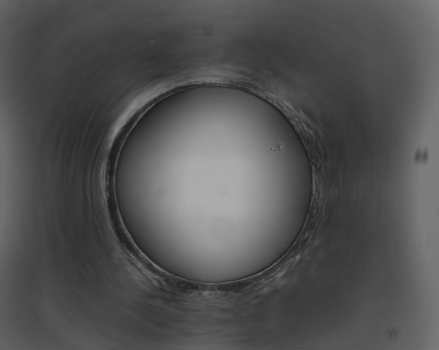 X0000096700244200802121209