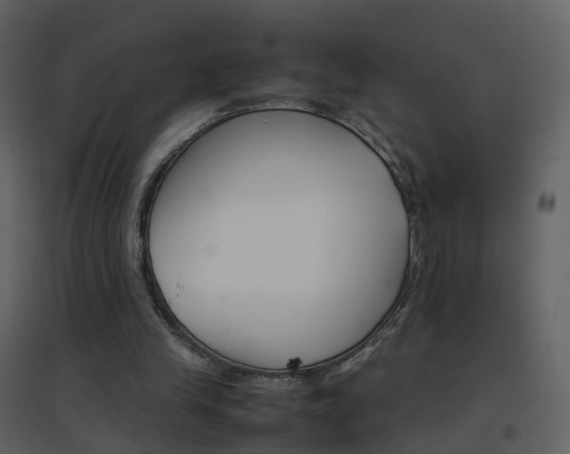 X0000096700245200802121209