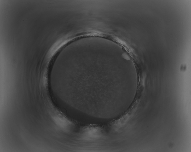 X0000096700247200802121209