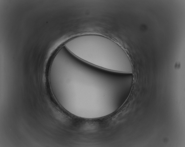 X0000096700248200802121209