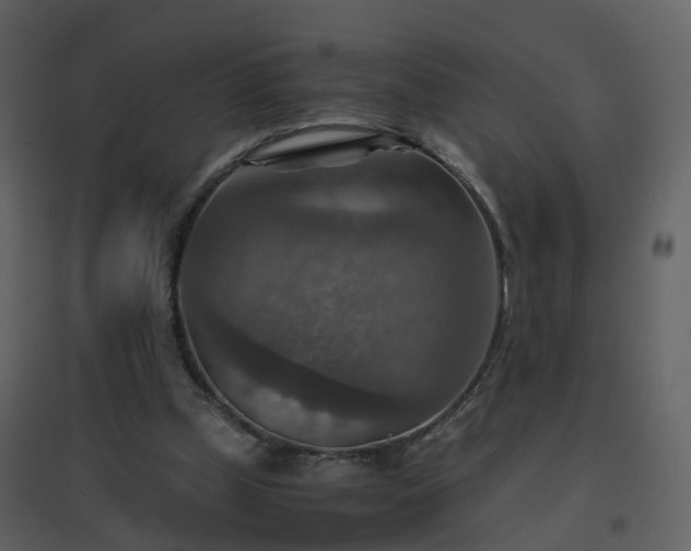 X0000096700249200802121209